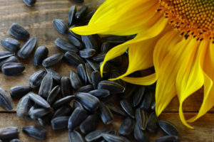 Being rich in Vitamin E, sunflower seed is one of the best home remedy for having a thick and long hair