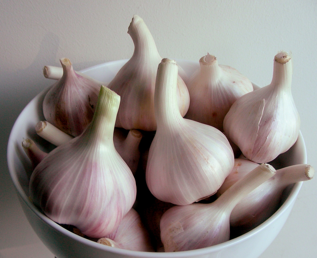 Garlic uses