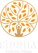 siddha-wellness